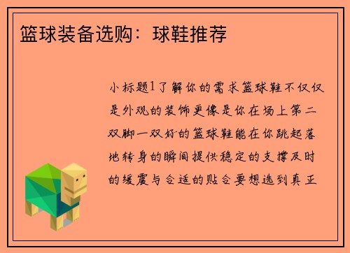 篮球装备选购：球鞋推荐